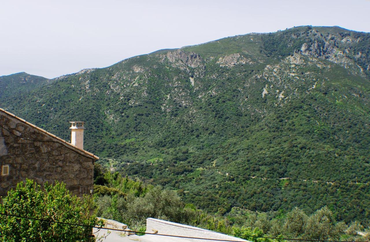 Studio Le Petit Nid D'Amour Meuble Tourisme 3 Etoiles Poggio Santa-Lucia-di-Tallano Экстерьер фото