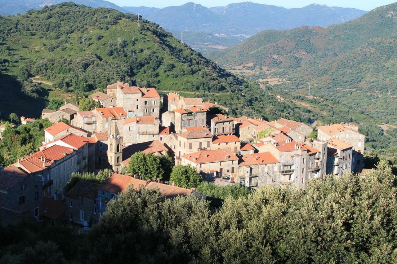 Studio Le Petit Nid D'Amour Meuble Tourisme 3 Etoiles Poggio Santa-Lucia-di-Tallano Экстерьер фото